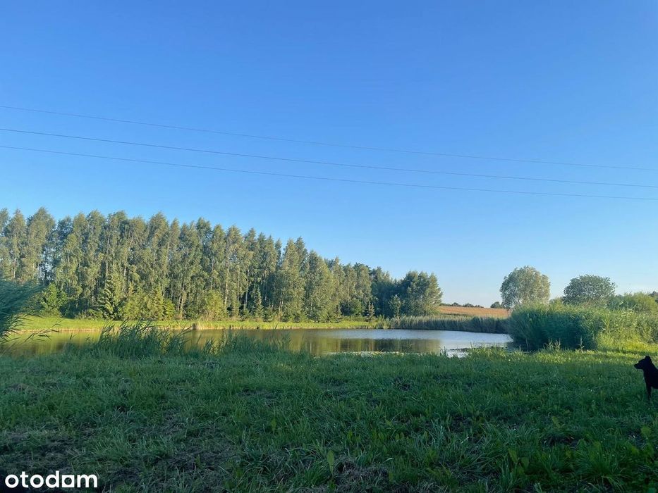 Działka, Sulnowo