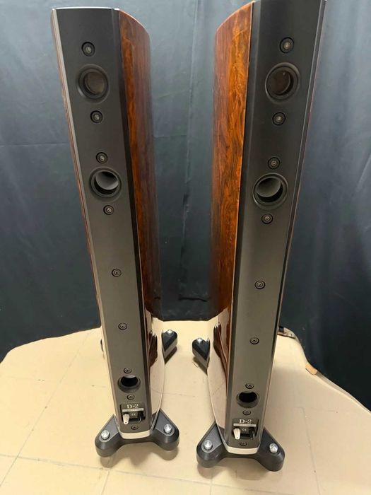 Kolumny Raidho Acoustics TD-2.2 – Topowy Hi-End | Ribbon Tweeter