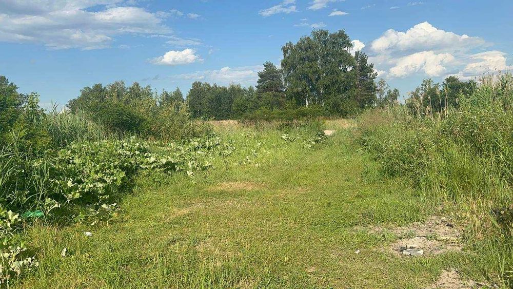 ЗЕМЕЛЬНА ДІЛЯНКА біля Києва з виходом на річку на воду вихід до Дніпра  12 сот. біля води  50 хв від Києва недорого краєвид Бориспільський рн