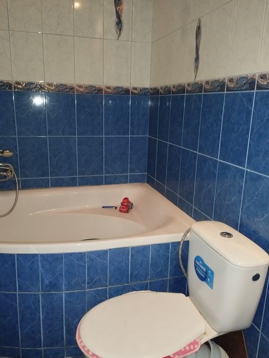 Продам дом Закарпатье Бадалово