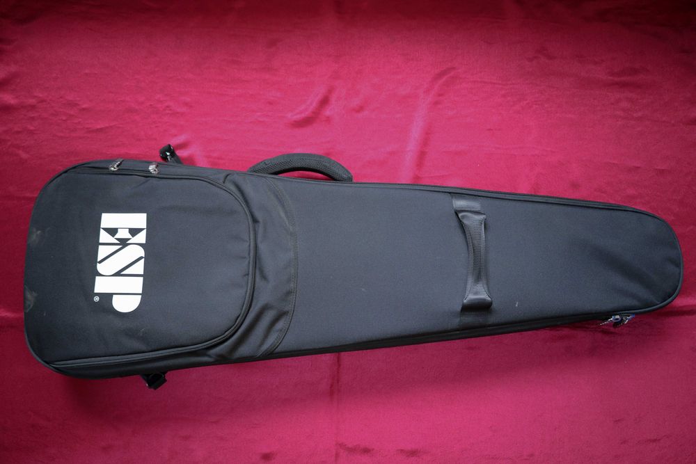 LTD EC-1000 Evertune