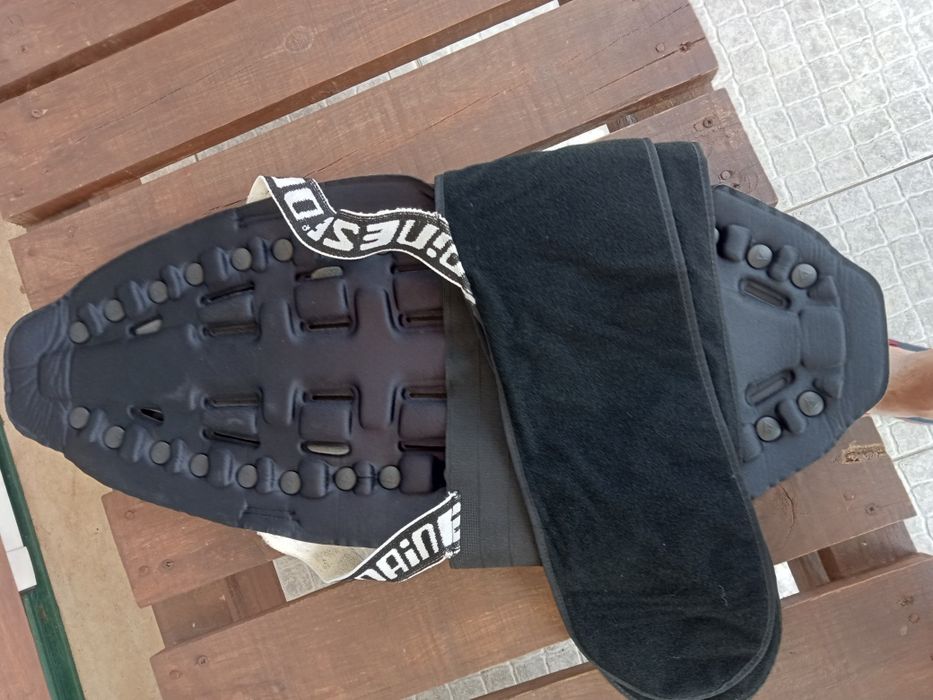 Protetor dainese para as costas