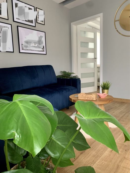 Noclegi Apartament Premium Pokoje Sandomierz Centrum