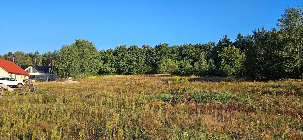 Ostatnia działka budowlana pod lasem