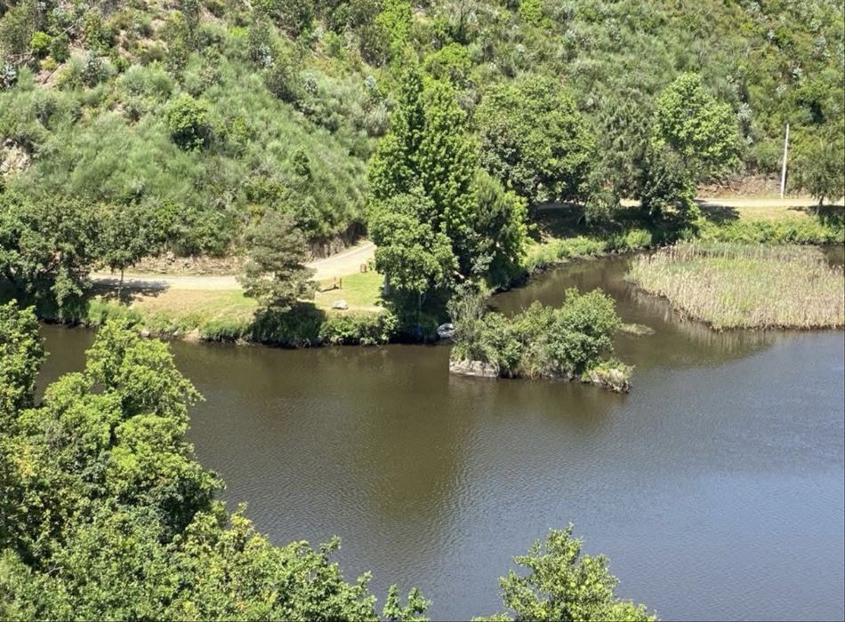 Qintinha no Douro