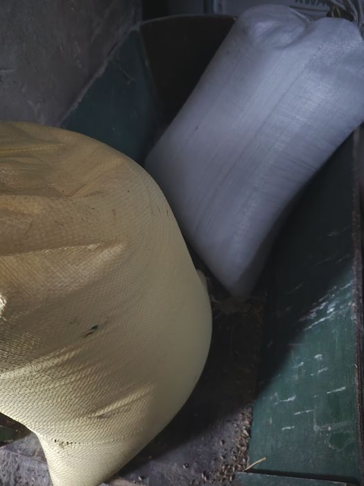 Rzepak na poplony 50kg