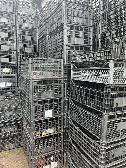 Ящики пластмасові