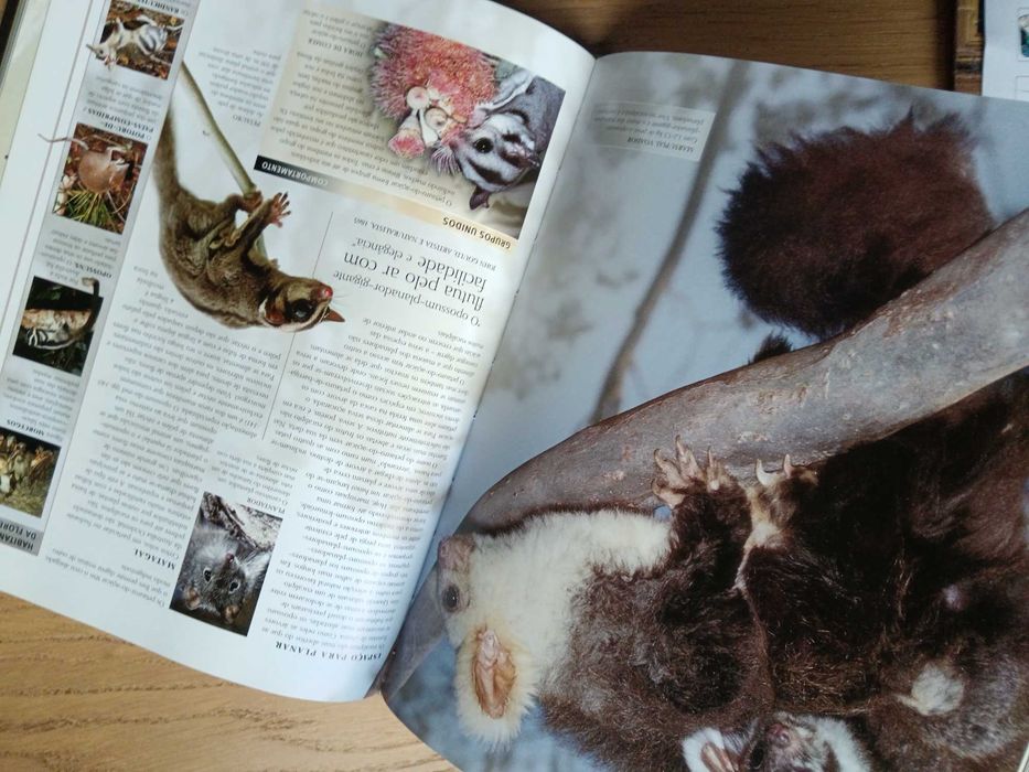 Mamíferos - Enciclopédia Ilustrada