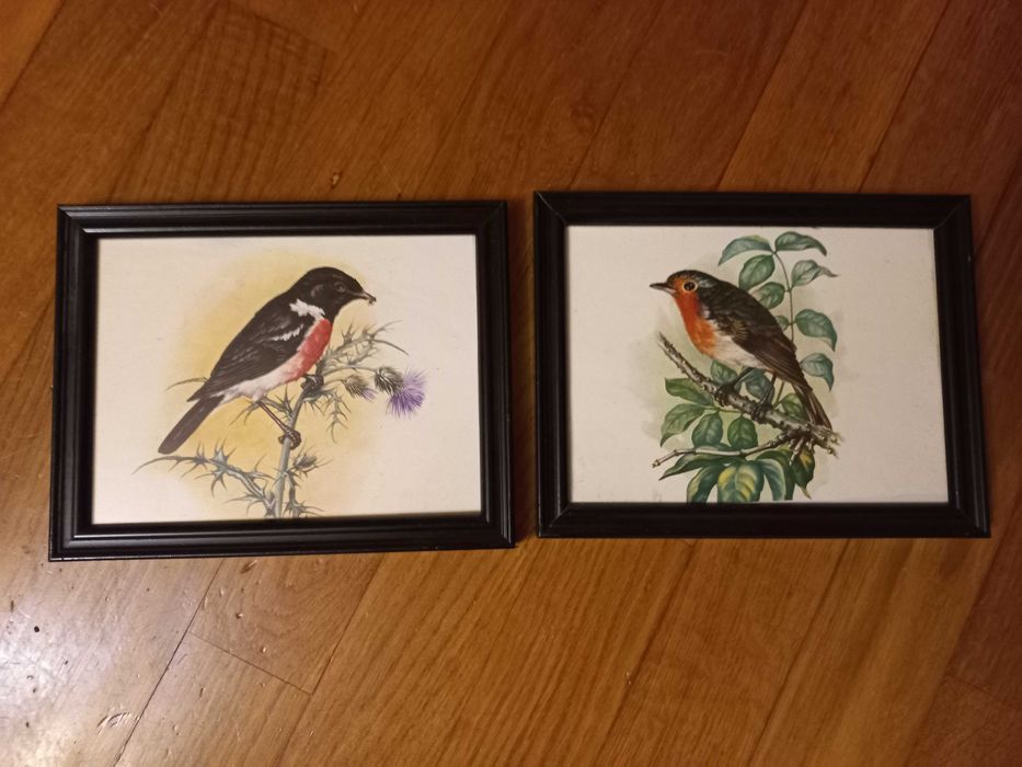 2 quadros com moldura preta madeira