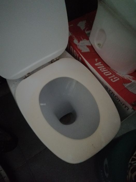 Sanita com autoclismo mochila