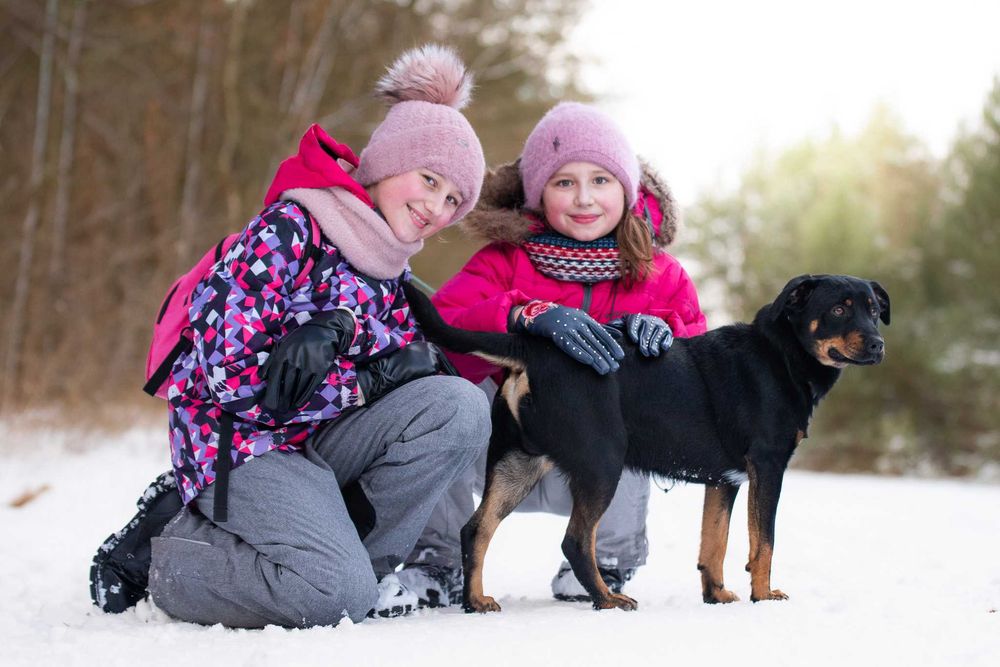 Corly: uległy i pozytywny przytulas