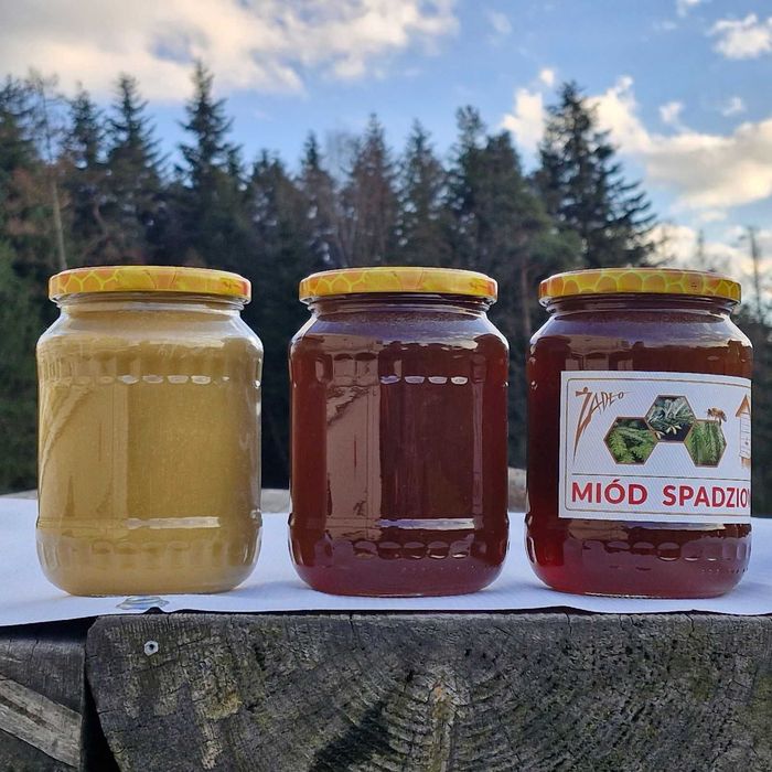 Miód spadziowy z własnej pasieki