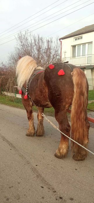 Dla kazdego cos dobrego