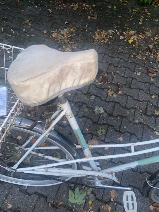 Rower damski lub meski