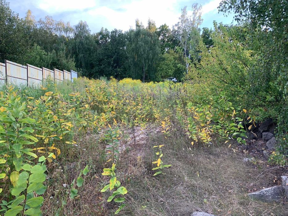 Земельна ділянка, шикарна панорама, Халеп,я