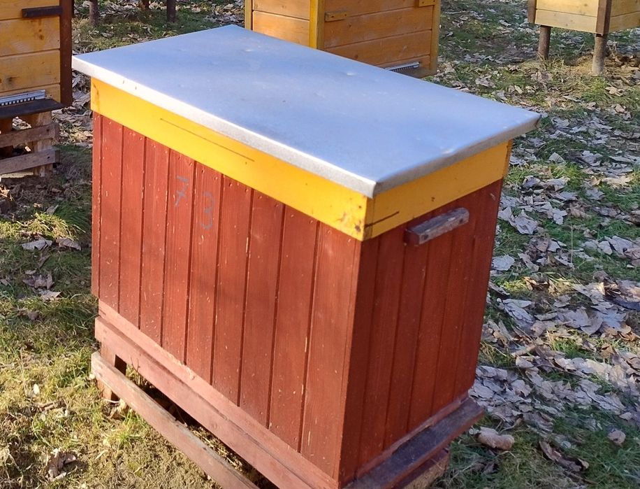 Sprzedam rodziny pszczele w ulach warszawskich poszerzanych