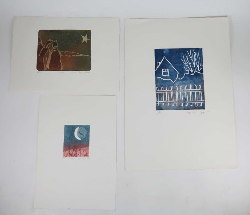 Bravo Serra 3 Serigrafias / Agua Forte