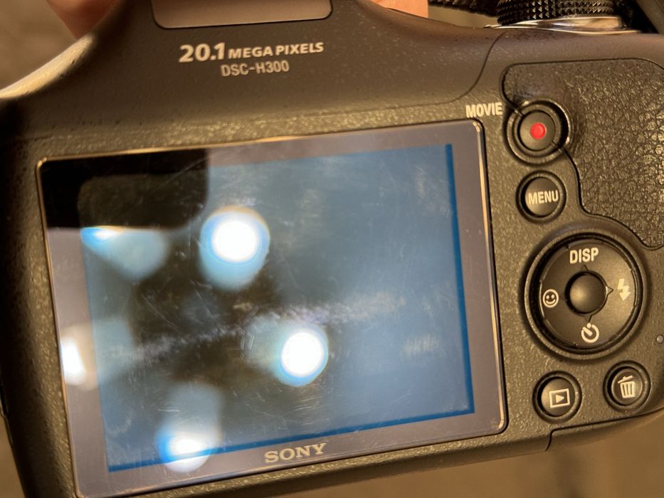 Фотоапарат Sony Sony Cyber-shot DSC-H300