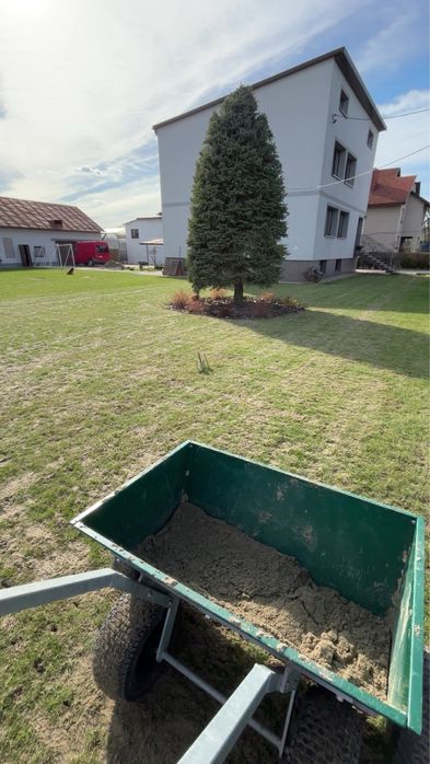 Regeneracja trawników