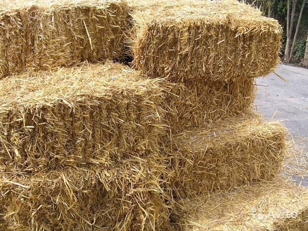 Продам сено и солому в тюках