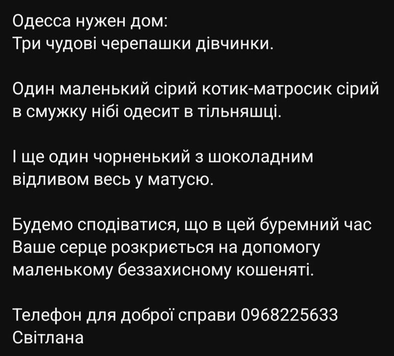 Отдам даром в добрые руки котят
