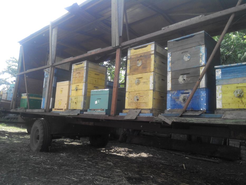 Причіп для перевезення бджіл.