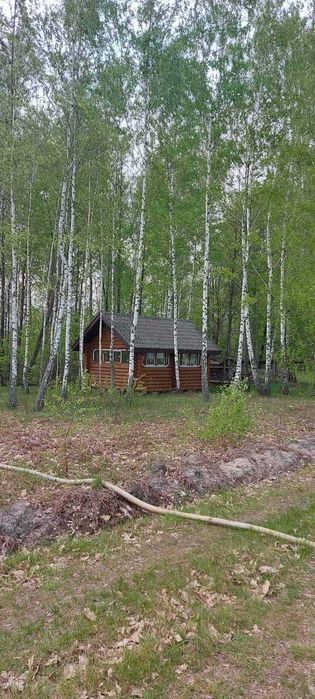 Іванківська ОТГ, панський маєток з озерами і ділянкою 4.50 га.