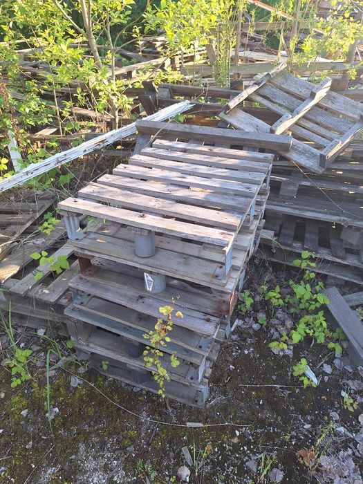 Sprzedam Palety różnych rozmiarów