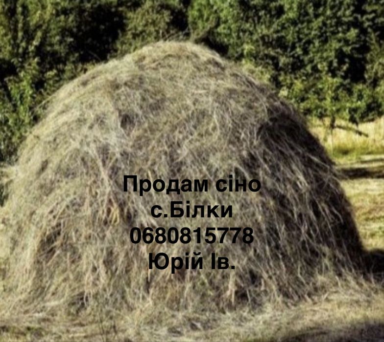 Продам сіно с.Білки