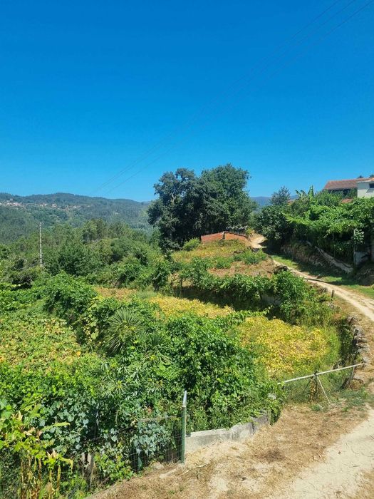 Quintinha em Aldeia Bispeira, Viseu