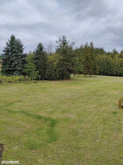 Działka budowlana 4000 m² w spokojnej okolicy
