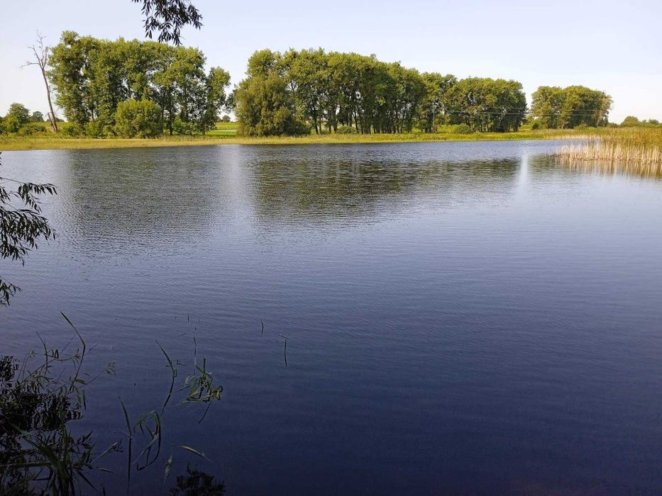 Терміново продам  ділянку під забудову у Сінгурах