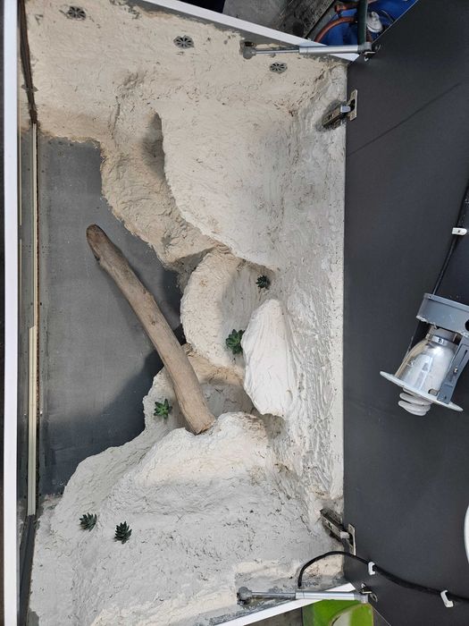 Terrarium dla gadów