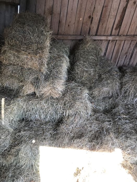 Продам сіно, солома в тюках.