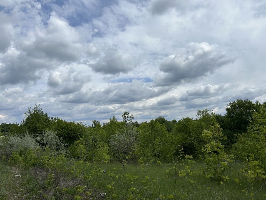 Земельна ділянка 6 га! Кагарлик!