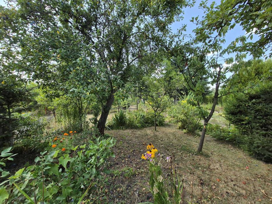 Ogródek działkowy ROD Jedność 300 m² - Widok 3