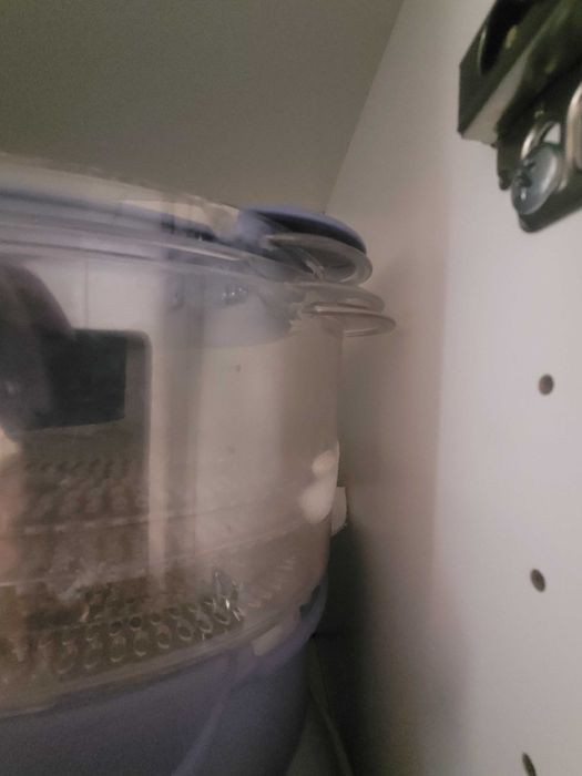 Parowar Zelmer, Model 37Z010