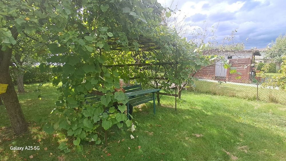 Działka R.O.D. Gostynin