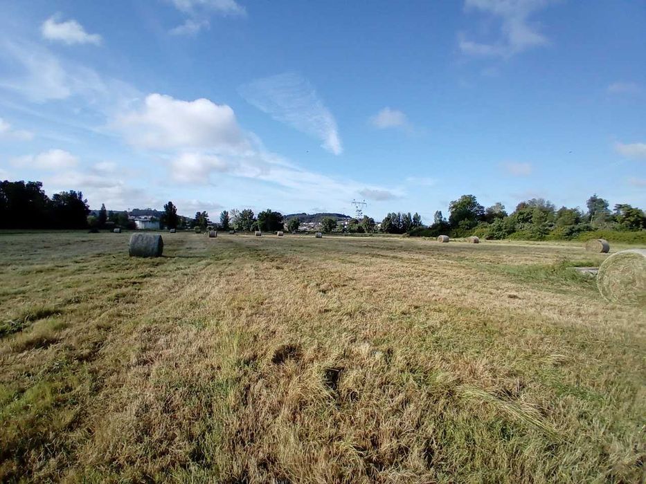 Rolos Fenosilagem azevém nascediço