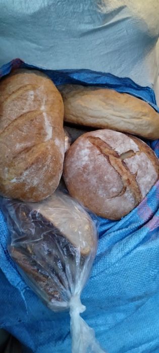 Chleb, bułki, pieczywo, zwroty, pasza, karma