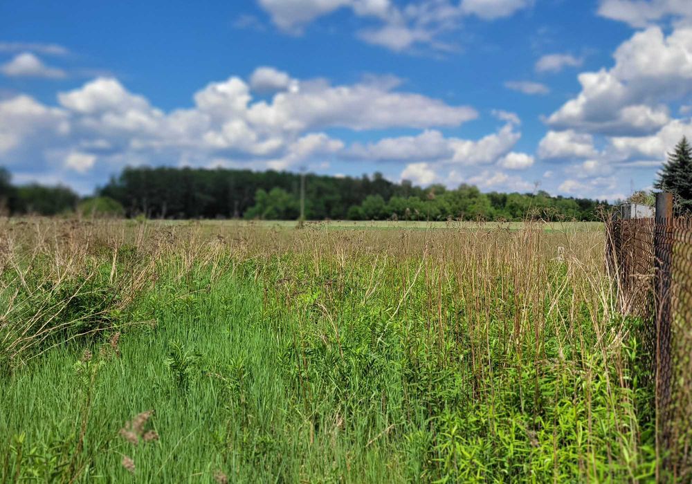 SPRZEDAM działkę budowlaną BLISKO LASU I SKM - Widok 4