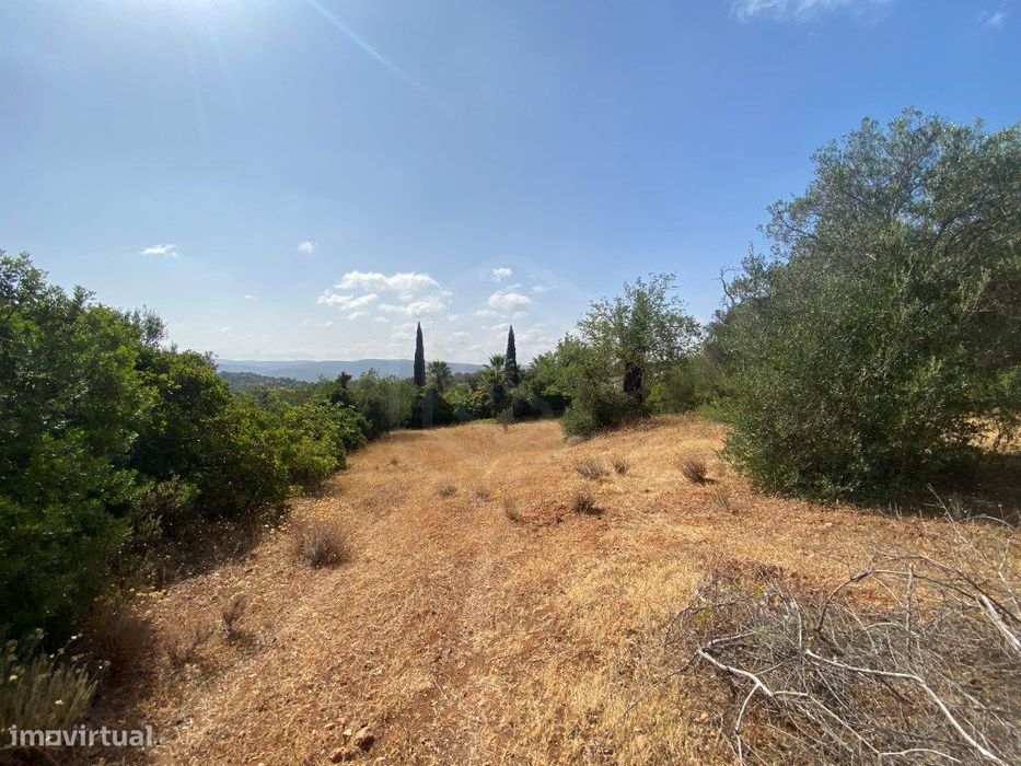 Lote de Terreno Rústico no Serro dos Passarinhos, Loulé, Algarve