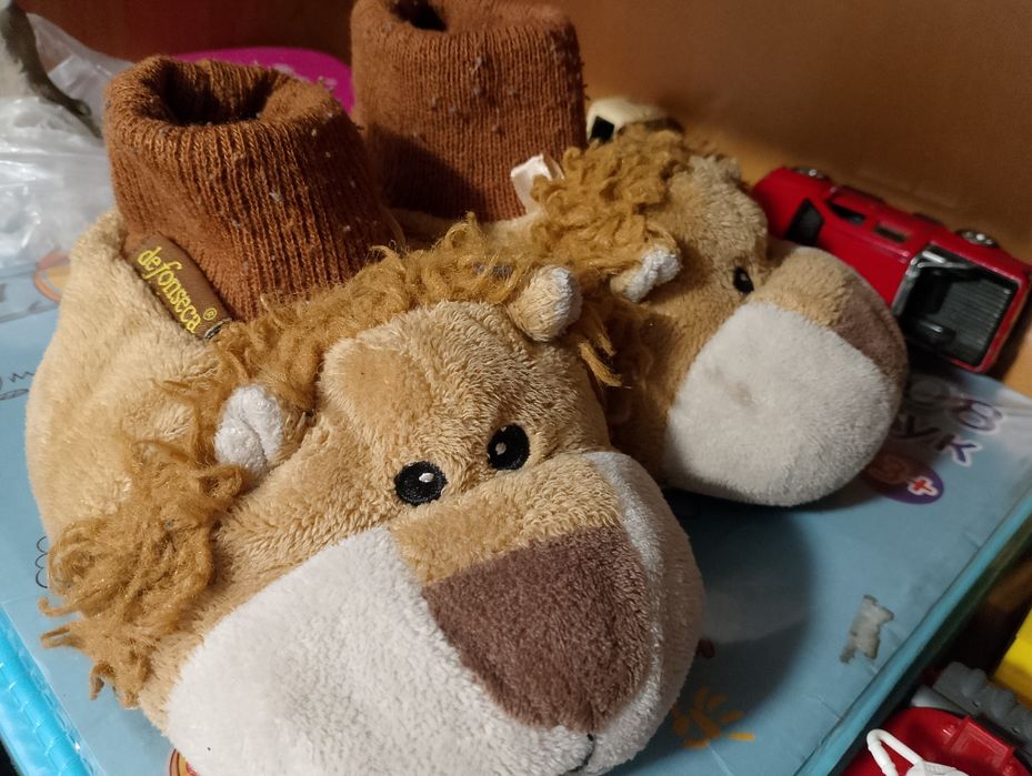 Безкоштовно віддам