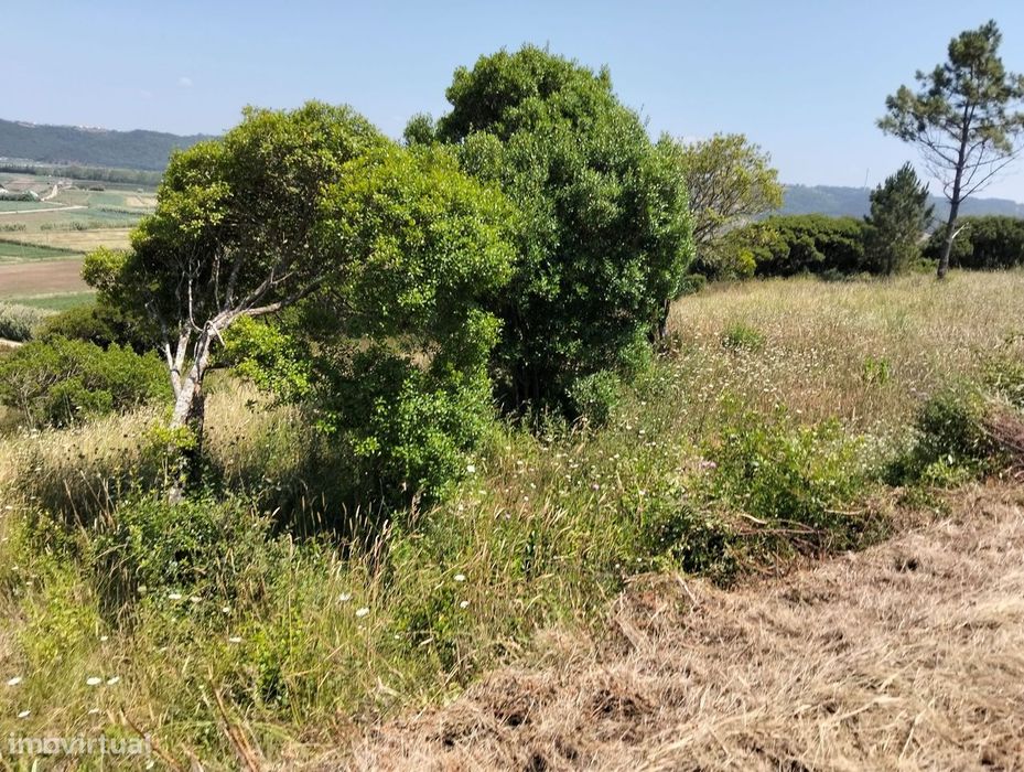 Terreno Estrada p/serra da pescaria /Praia do Salgado-Nazaré -Leiria