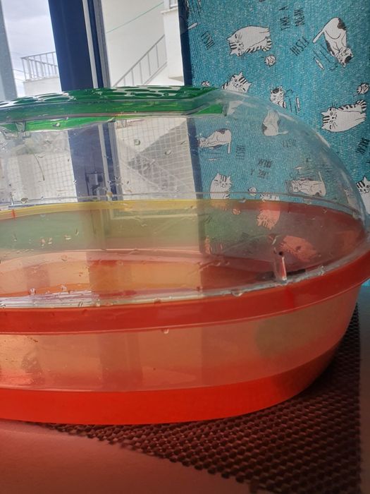 Tartarugueira aquario