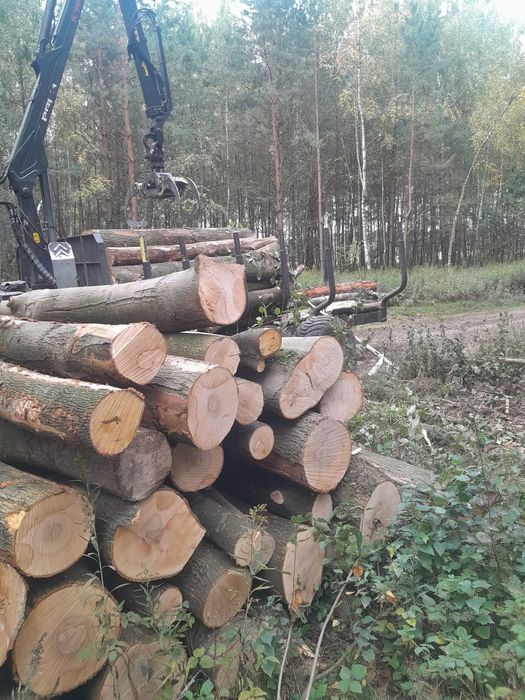 Drewno kominkowe grab dąb brzoza sosna