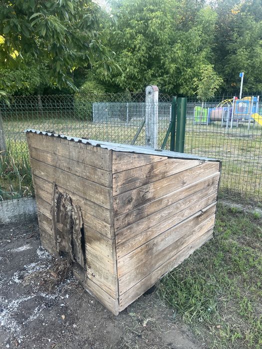 Buda dla psa duza