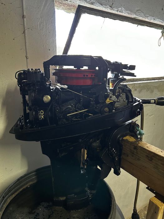 Motor fora de borda Mercury 9.9