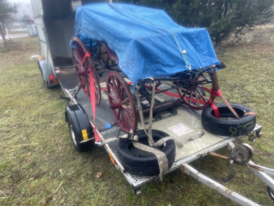 Dorożka na jednego konia;kucyka