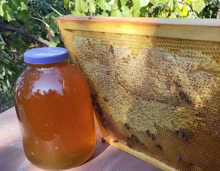 Мед домашний ( 2025г)